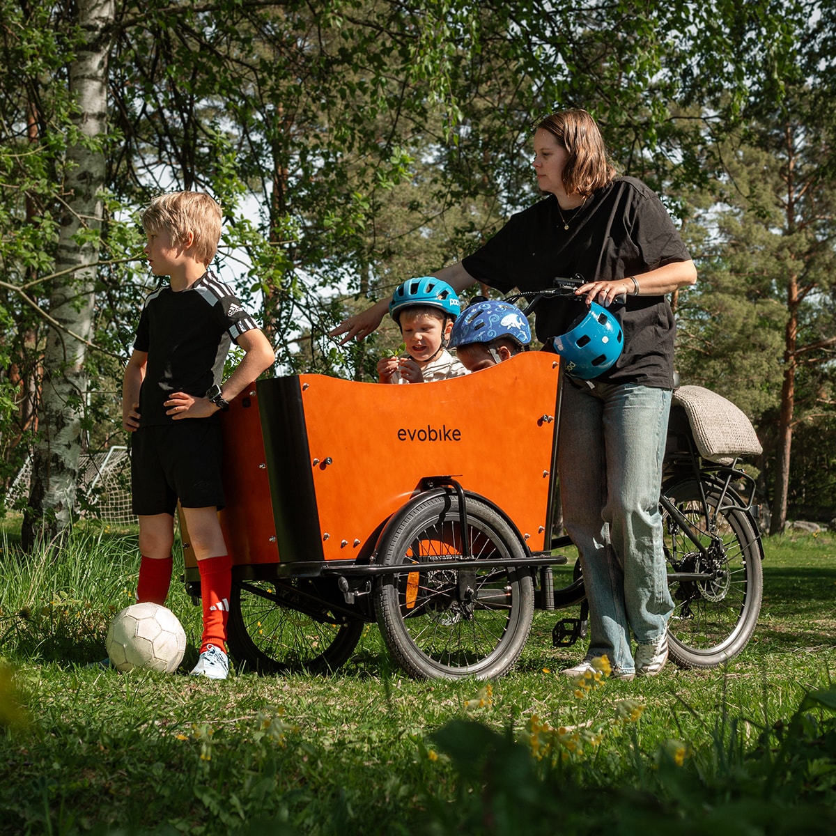 EvoBike Cargo Pro